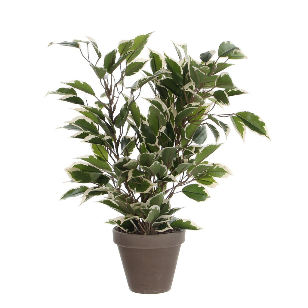Kunstplant Ficus natasja Groen