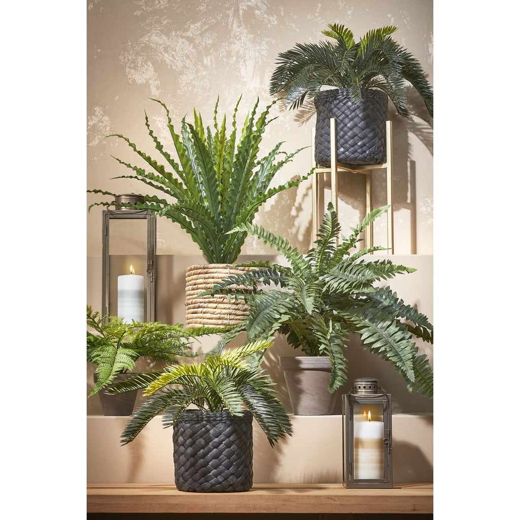 Kunstplant Asplenium Groen