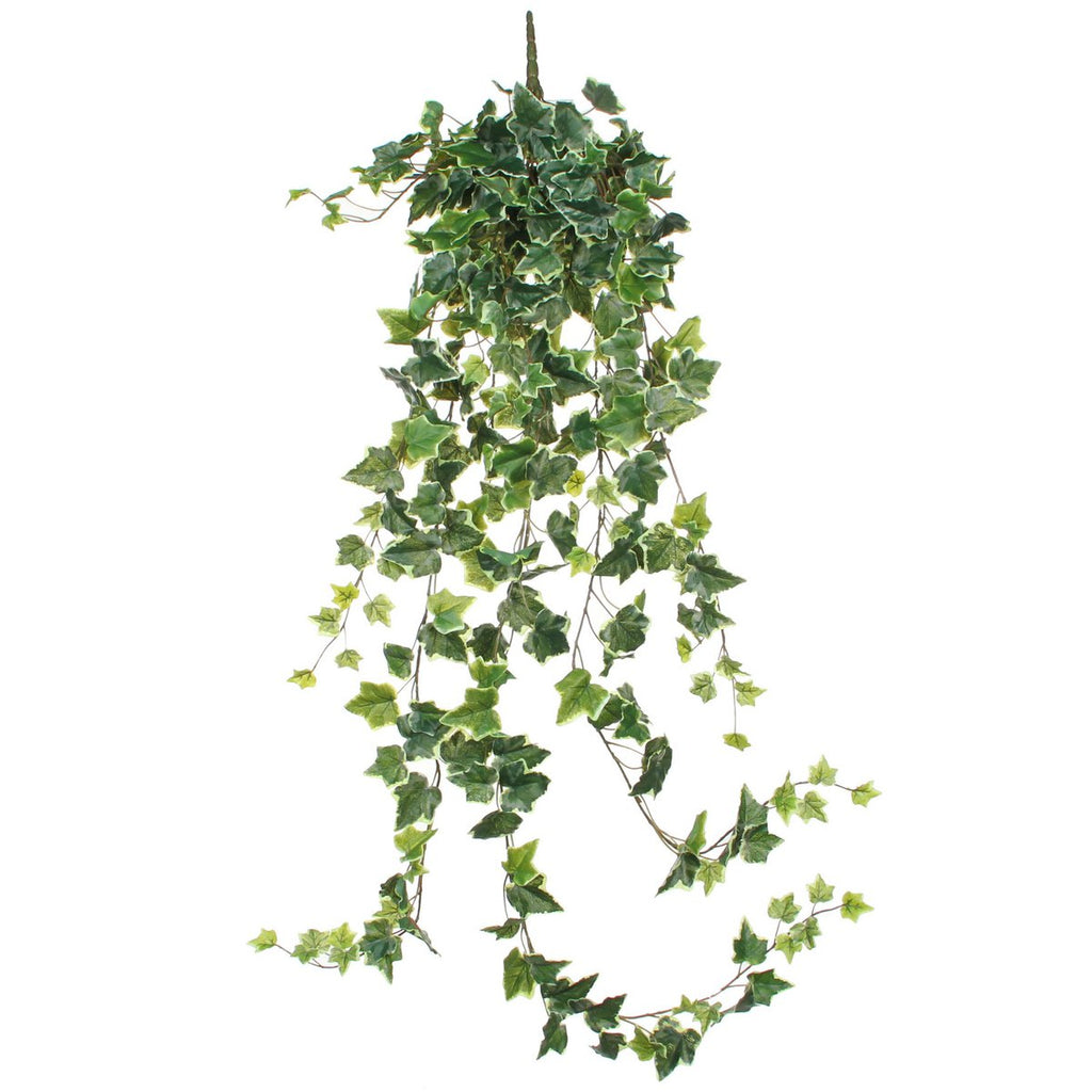 Kunst hangplant Ivy Groen