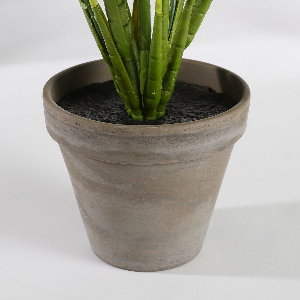 Kunstplant Evergreen Groen
