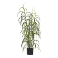 Grasplant, groen, H:68 cm