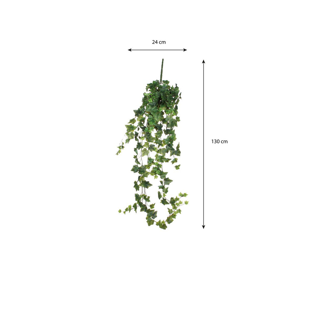 Kunst hangplant Ivy Groen