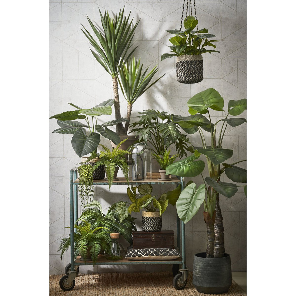 Kunstplant Yucca Crème