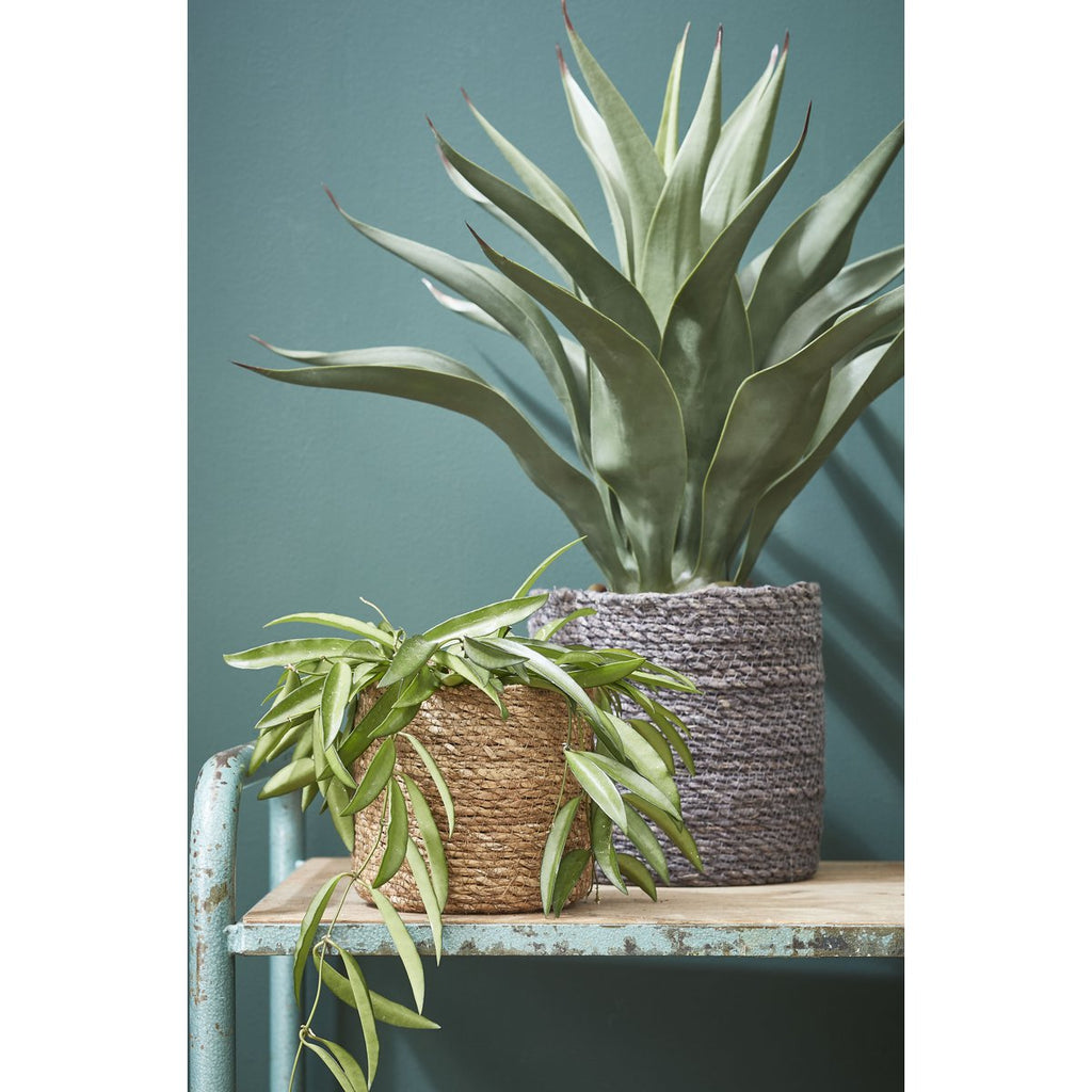 Plantenmand set Atlantic Lichtbruin