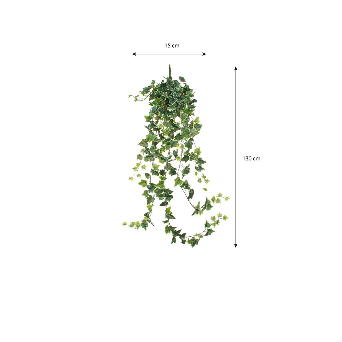 Kunst hangplant Ivy Groen