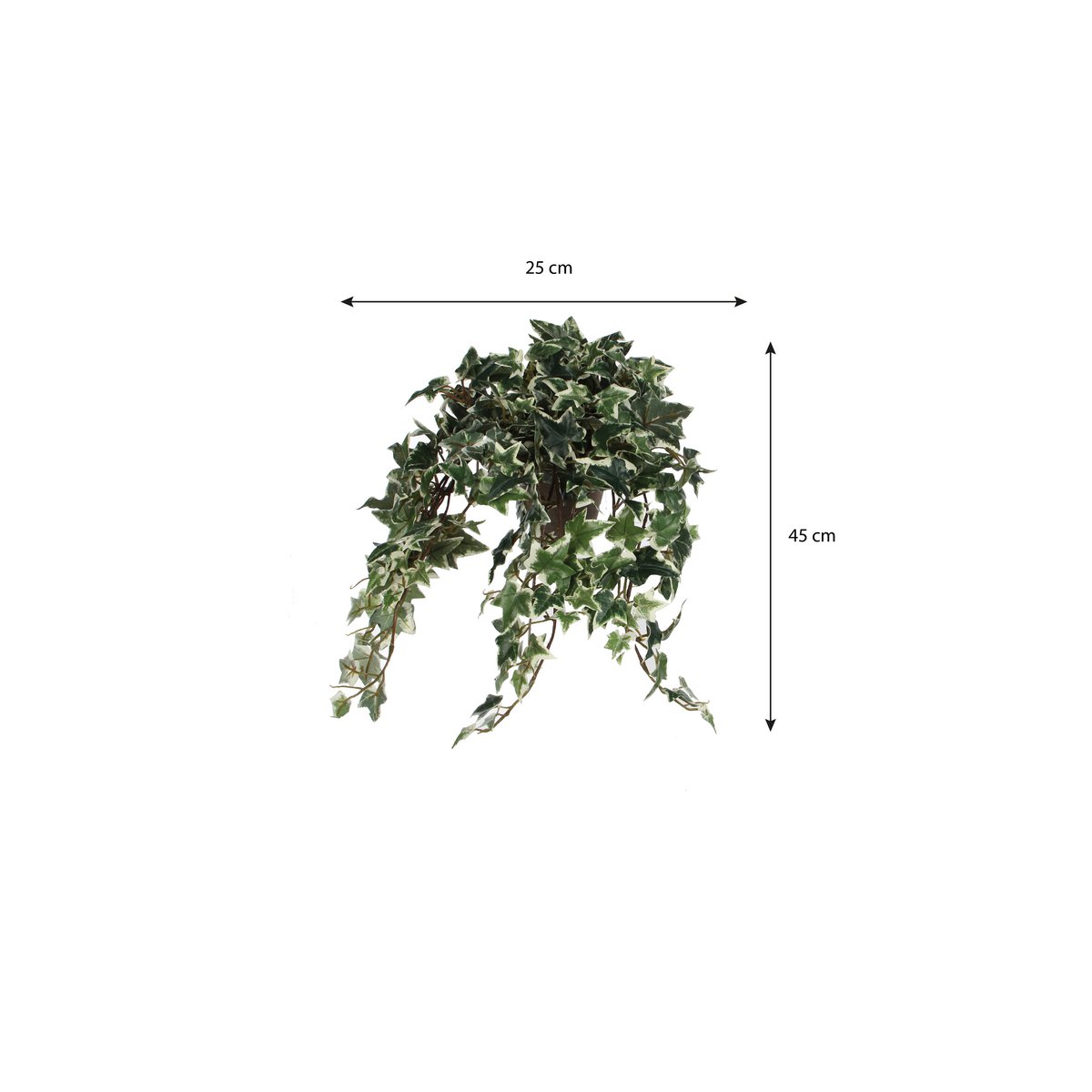 Kunst hangplant Ivy Groen