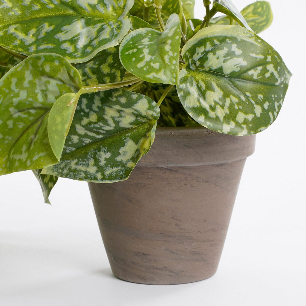 Kunst hangplant Scindapsus Groen