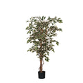 Kunstplant Ficus Groen