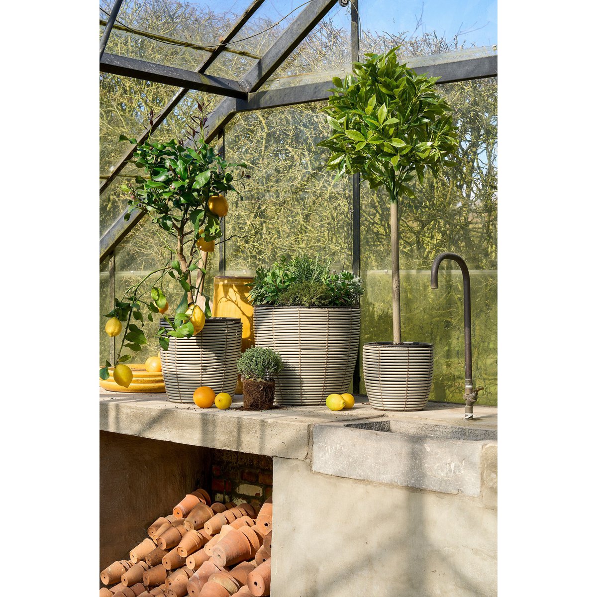 Kunstplant Laurel Groen