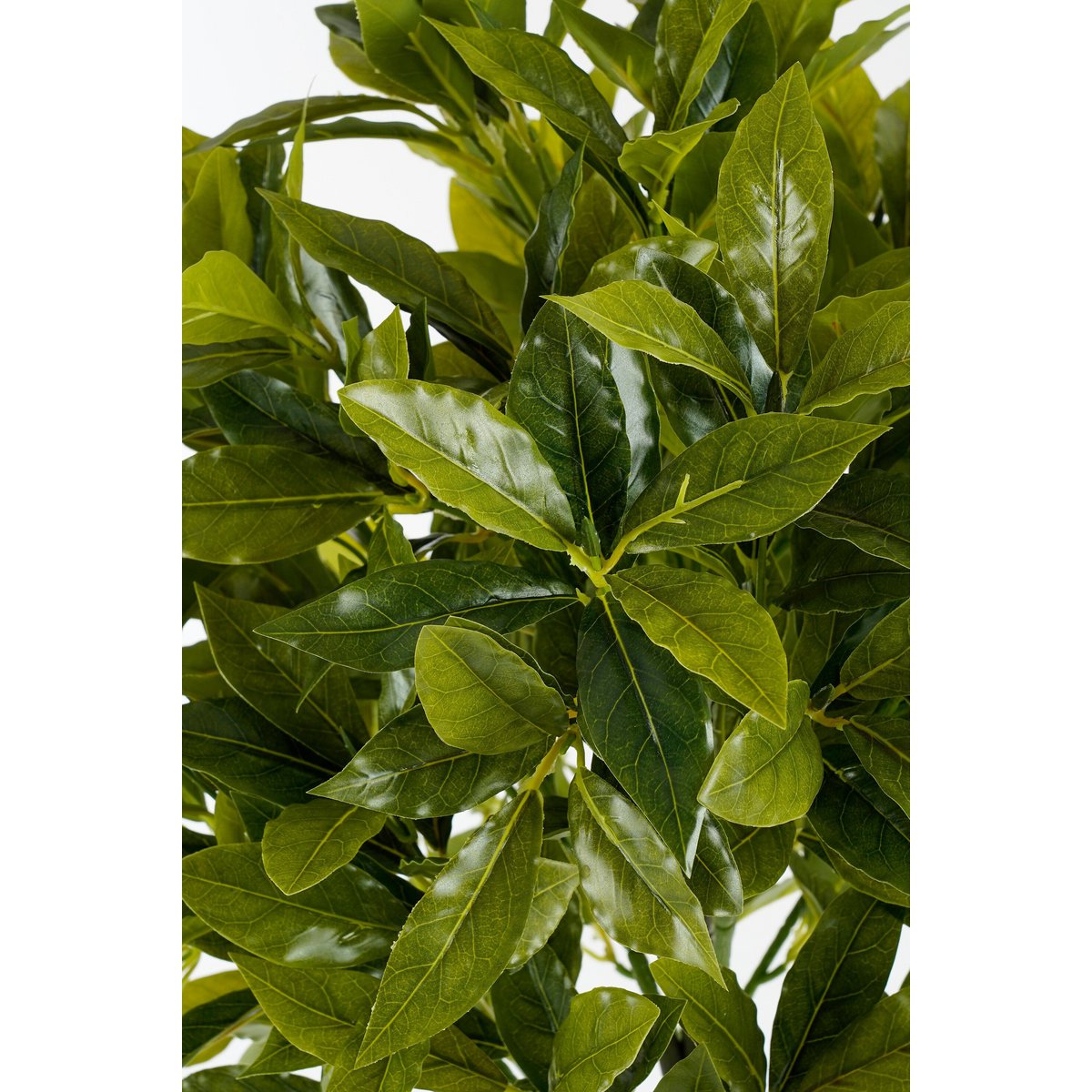 Kunstplant Laurel Groen