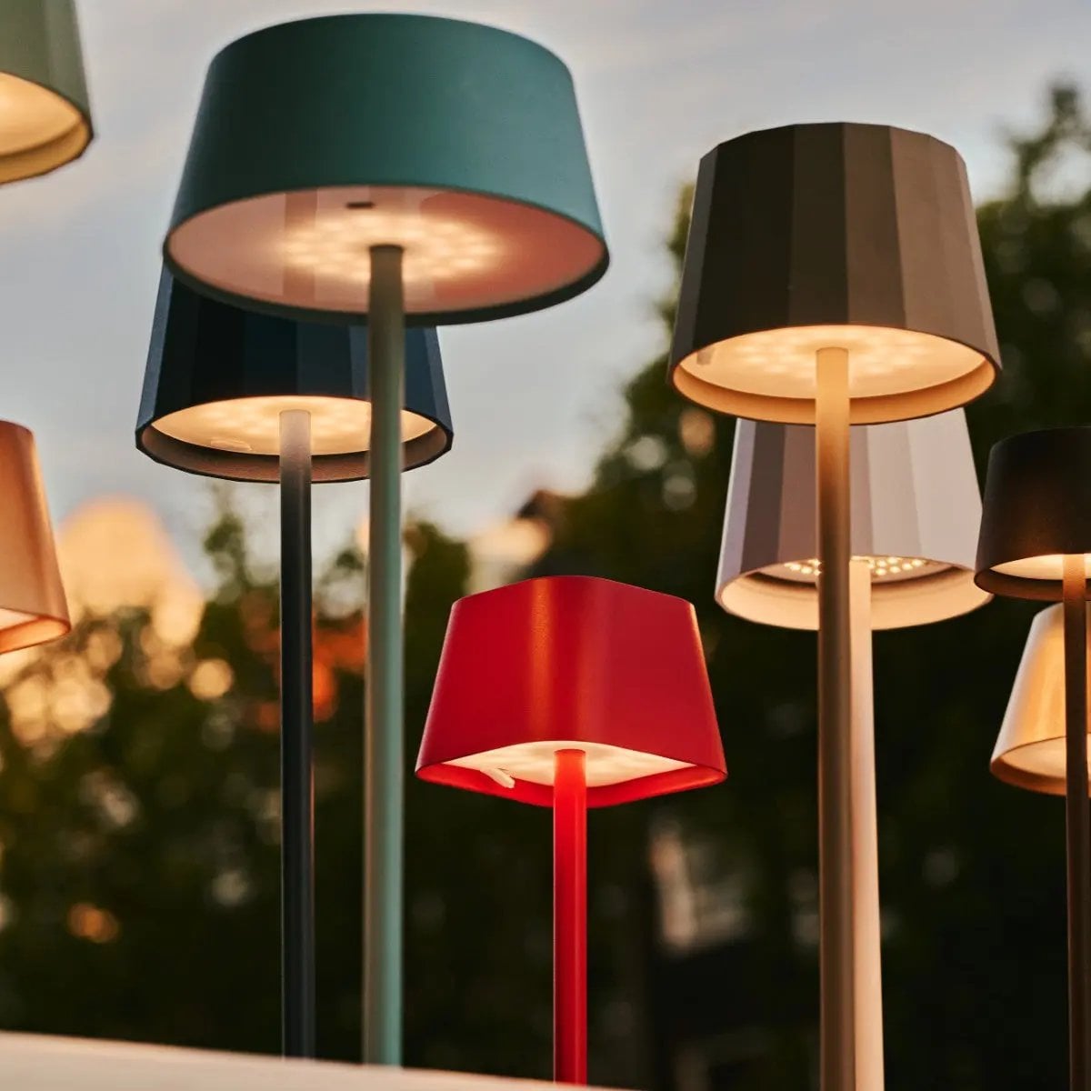 Beer Donkerbruin Oplaadbare Lamp | Draadloos, dimbaar en batterijduur tot 100 uur