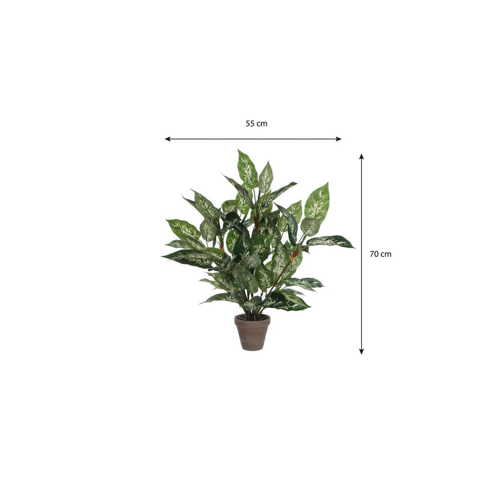 Kunstplant Dieffenbachia Groen