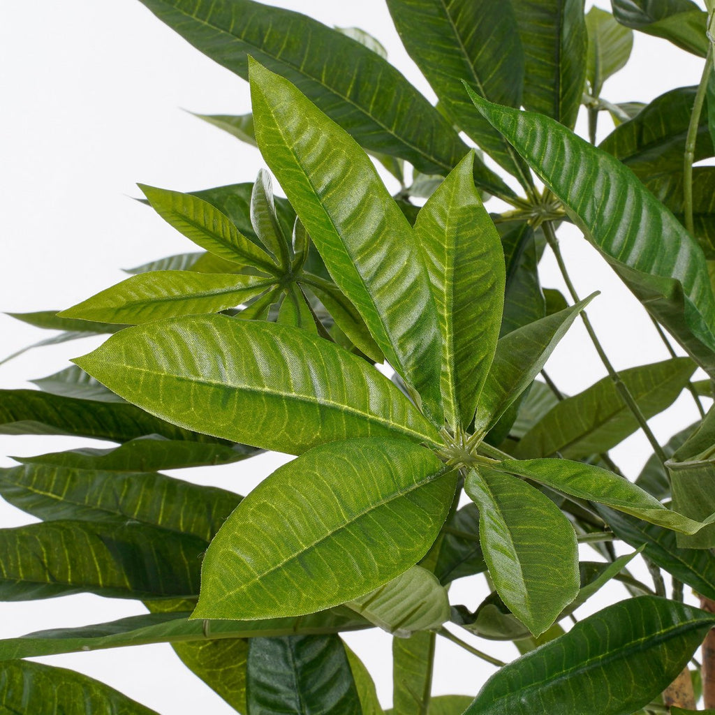 Kunstplant Pachira Groen