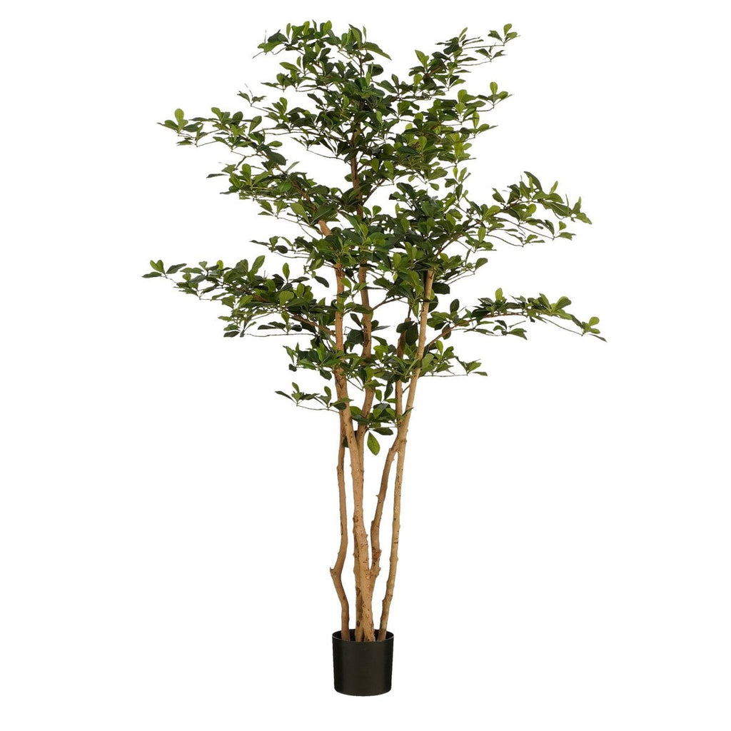 Kunstplant  Groen