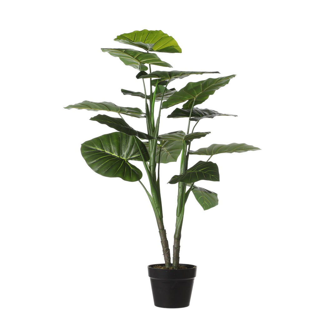 Kunstplant Taro Groen