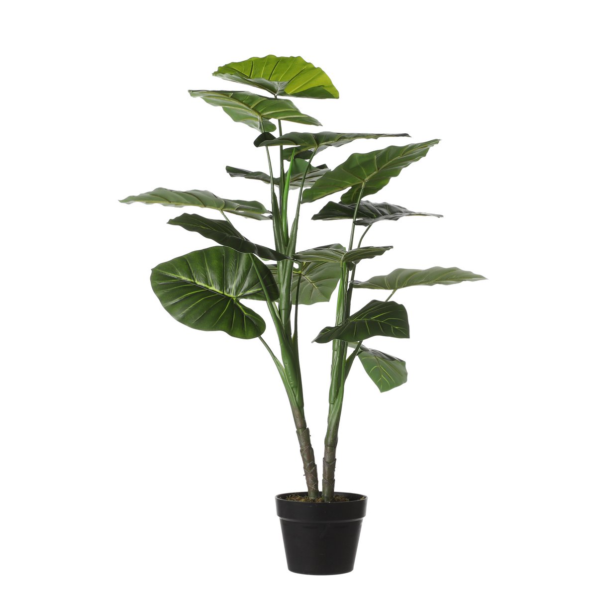 Kunstplant Taro Groen