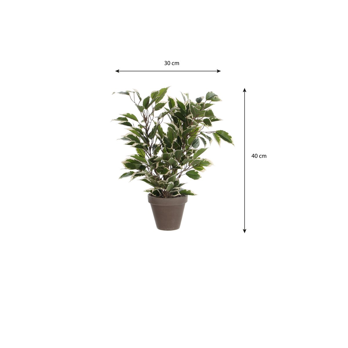 Kunstplant Ficus natasja Groen
