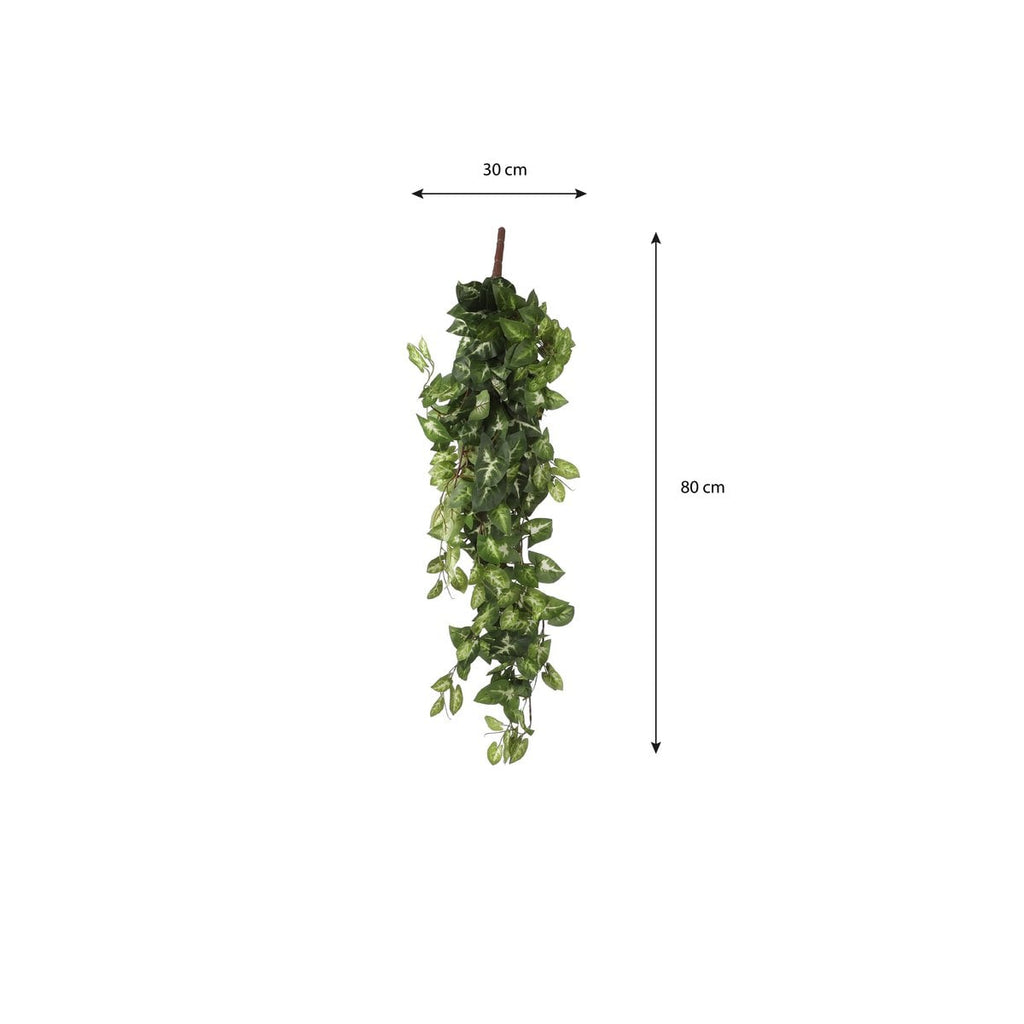 Kunst hangplant Fittonia Groen