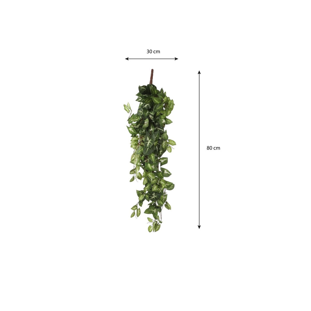 Kunst hangplant Fittonia Groen