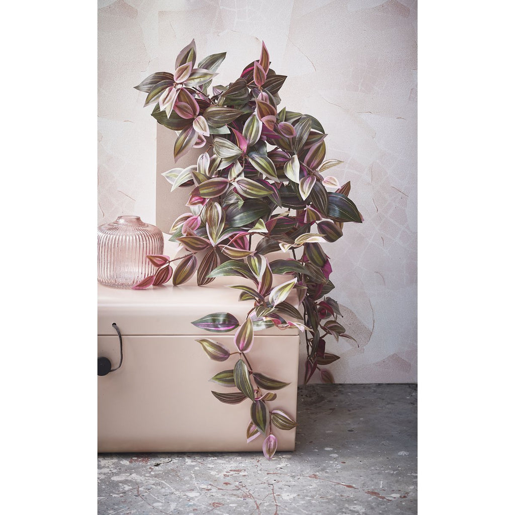 Kunst hangplant Tradescantia Donkerrood