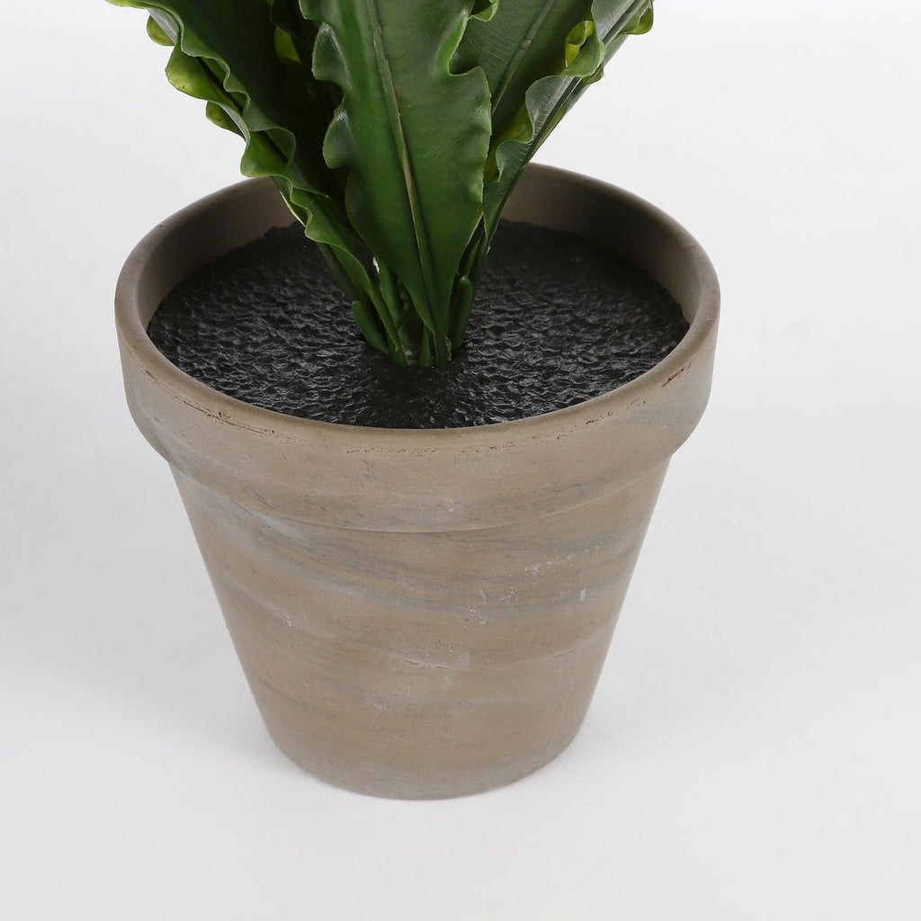 Kunstplant Asplenium Groen