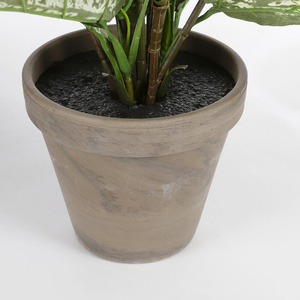Kunstplant Dieffenbachia Groen