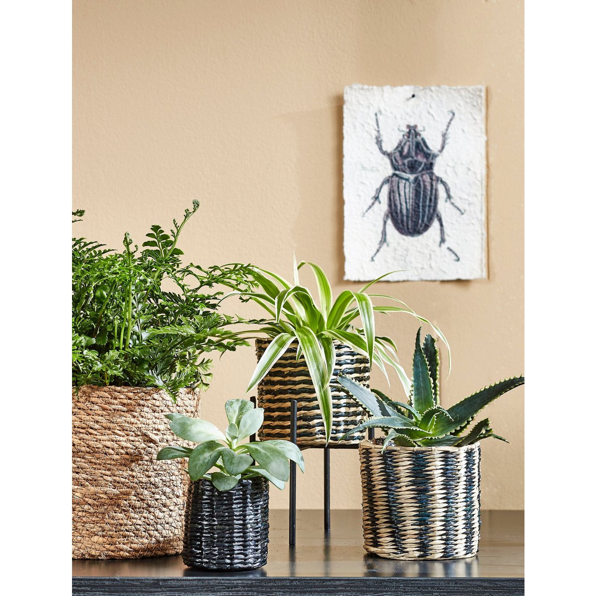 Plantenmand set Atlantic Lichtbruin