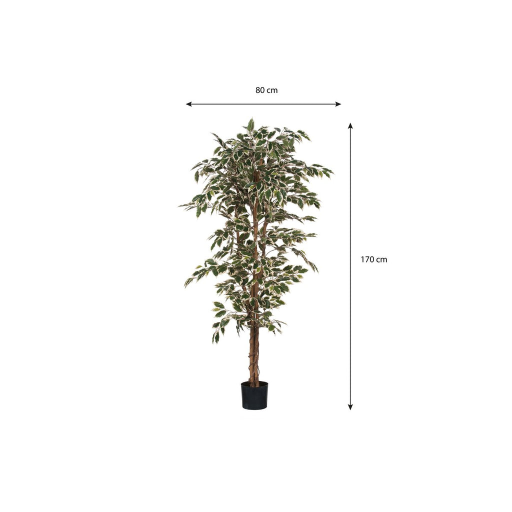 Kunstplant Ficus Groen