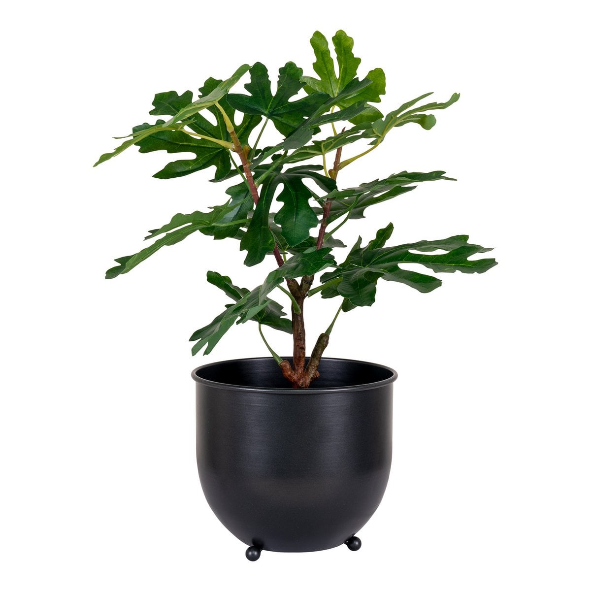 Vijgenboom - Groen, PE-kunststof, H:60 cm
