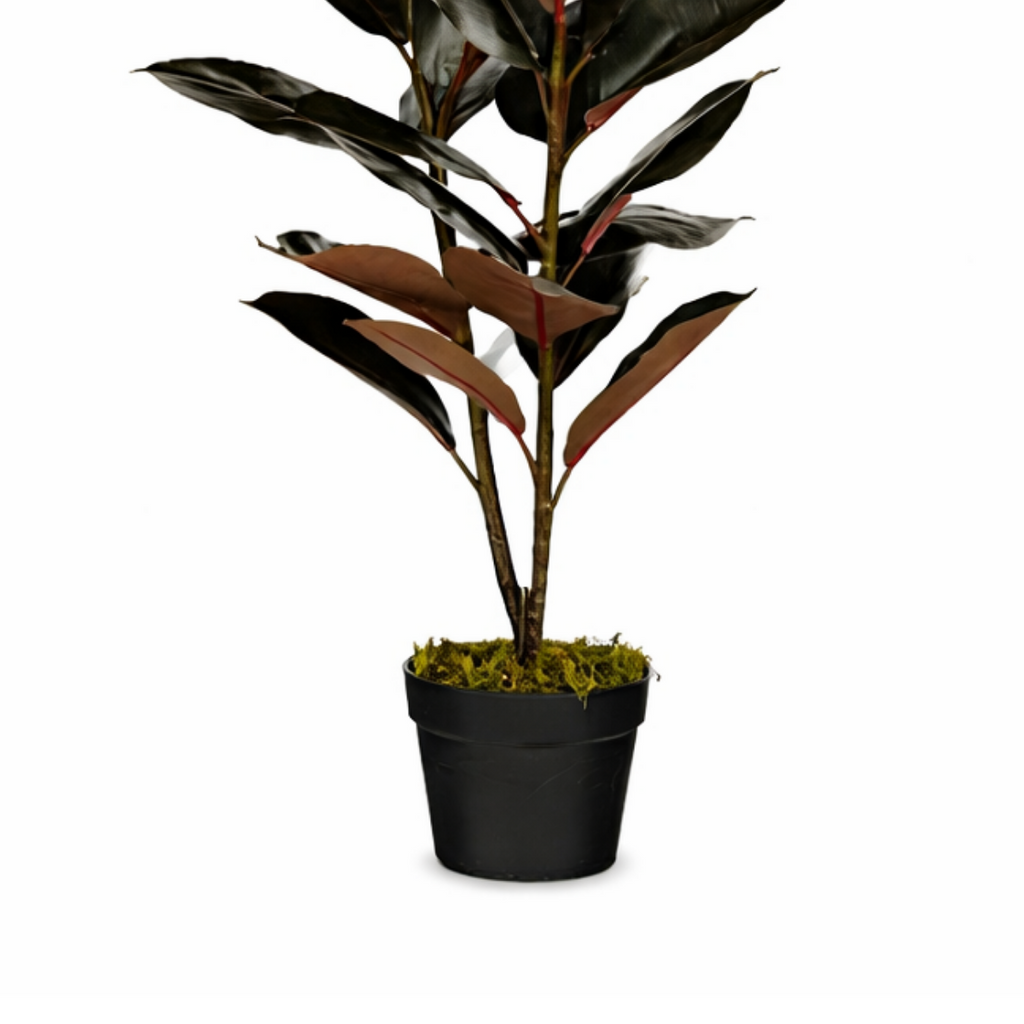 Kunstplant Rubberplant Rood