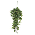Kunst hangplant Scindapsus hanging Groen