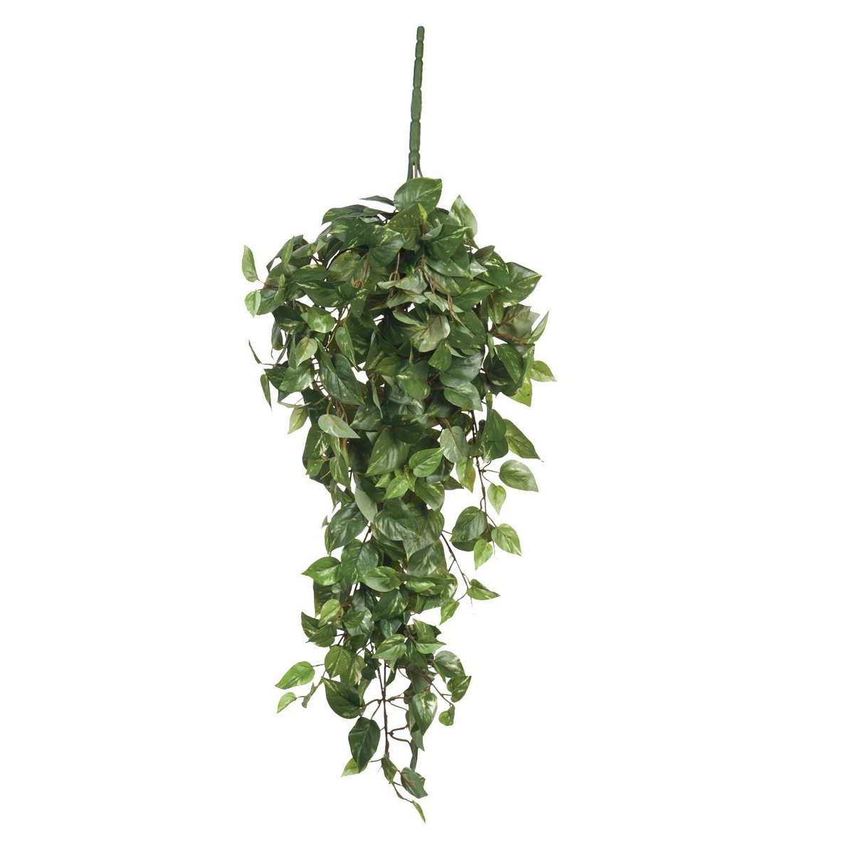 Kunst hangplant Scindapsus hanging Groen