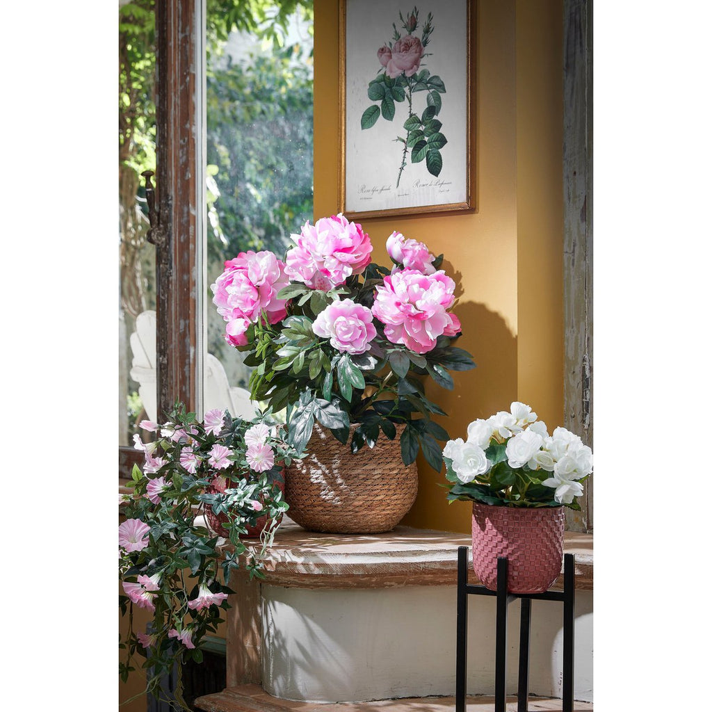 Plantenstandaard Ascot Zwart