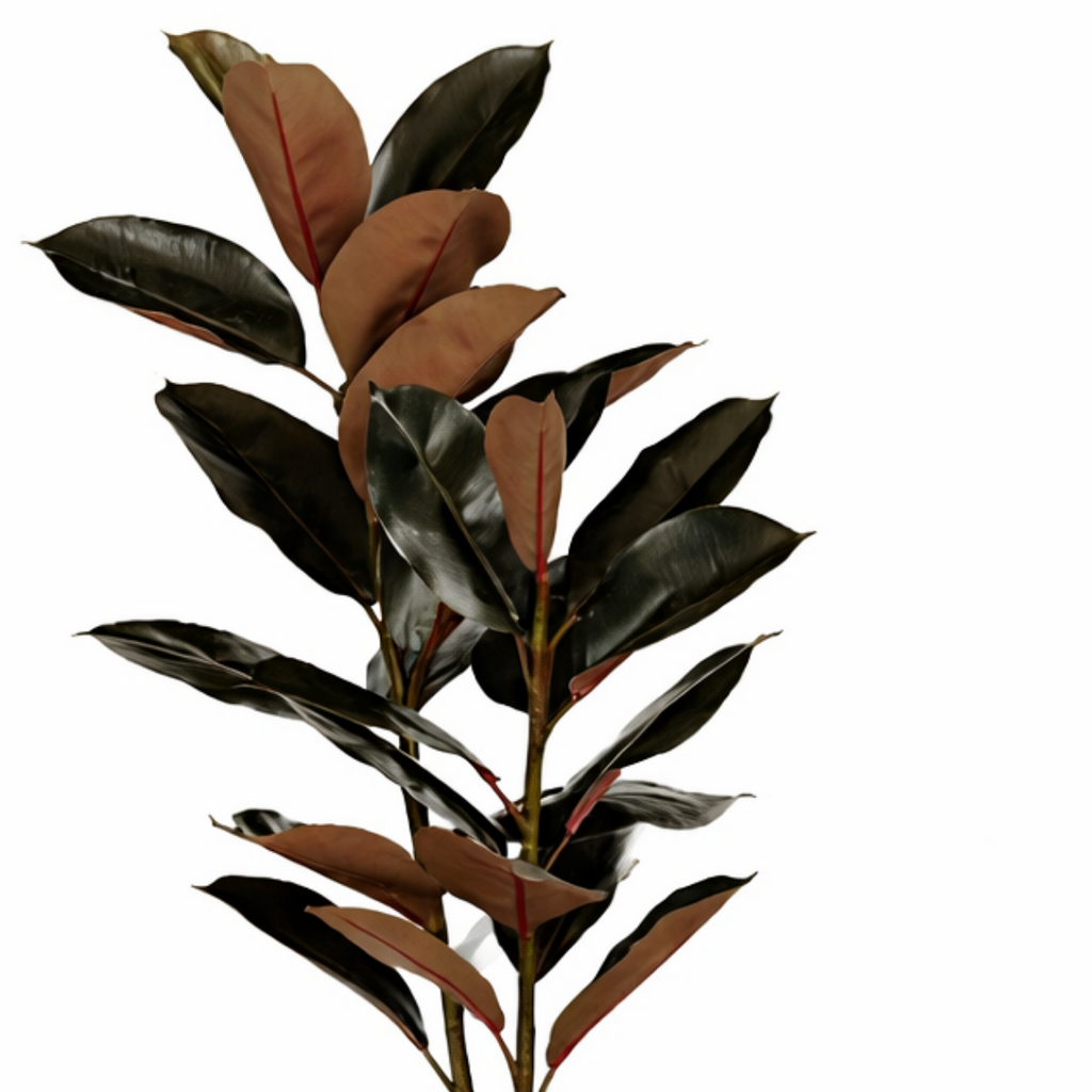 Kunstplant Rubberplant Rood