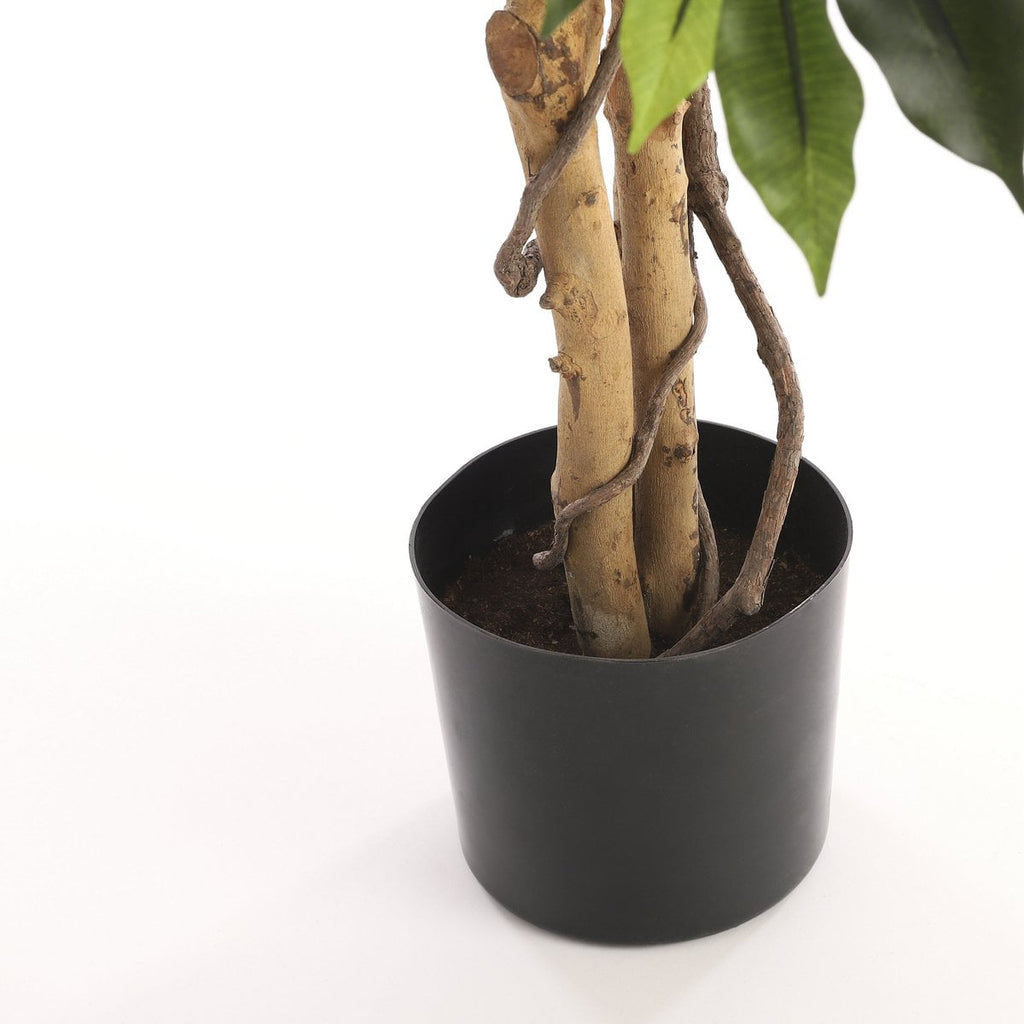 Kunstplant Ficus Groen