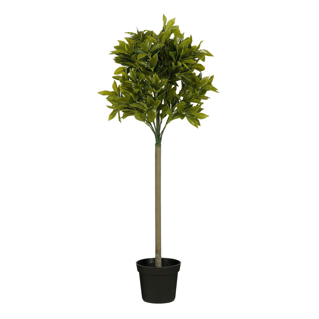 Kunstplant Laurel Groen