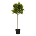 Kunstplant Laurel Groen