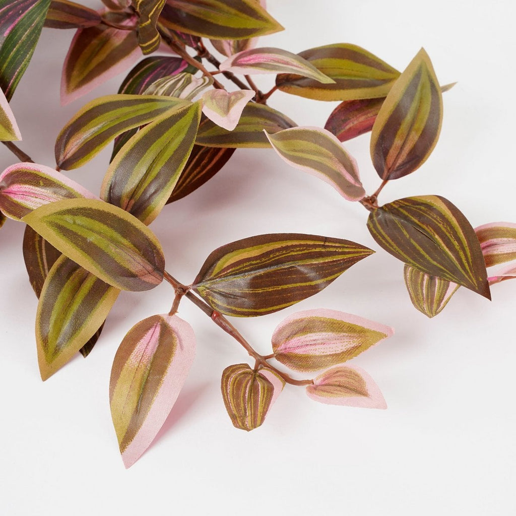 Kunst hangplant Tradescantia Donkerrood