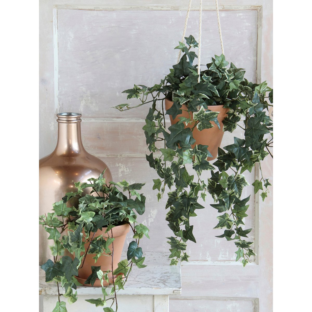 Kunst hangplant Ivy Groen