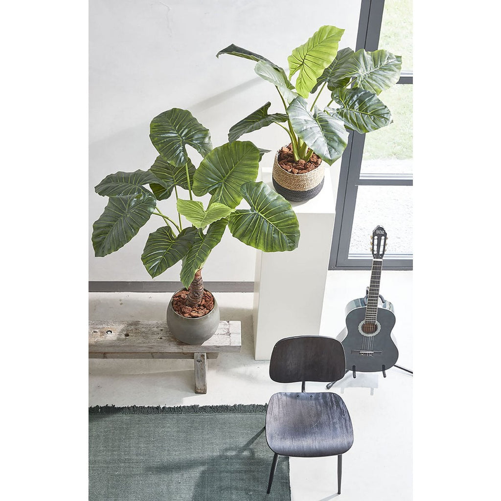 Kunstplant Taro Groen