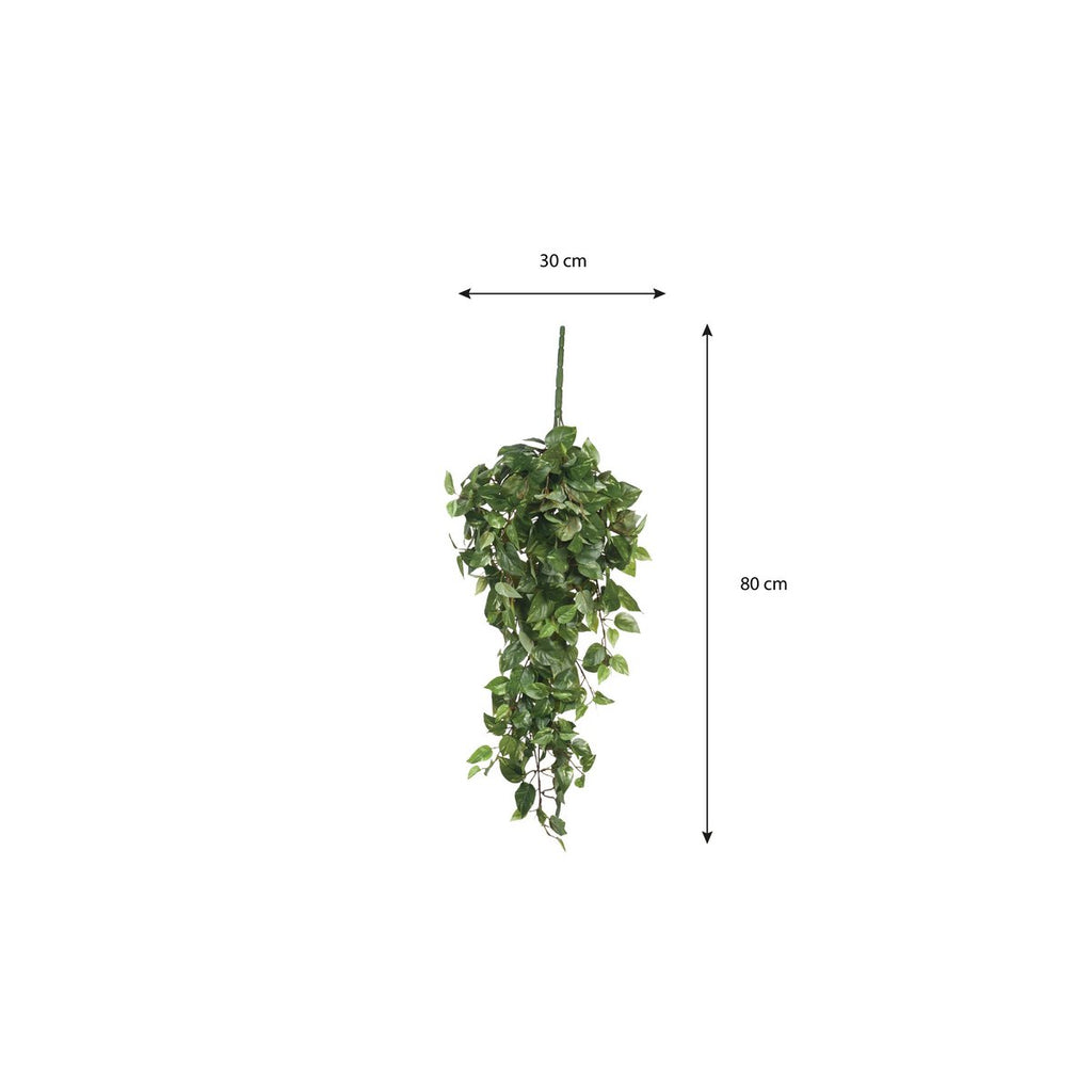 Kunst hangplant Scindapsus hanging Groen