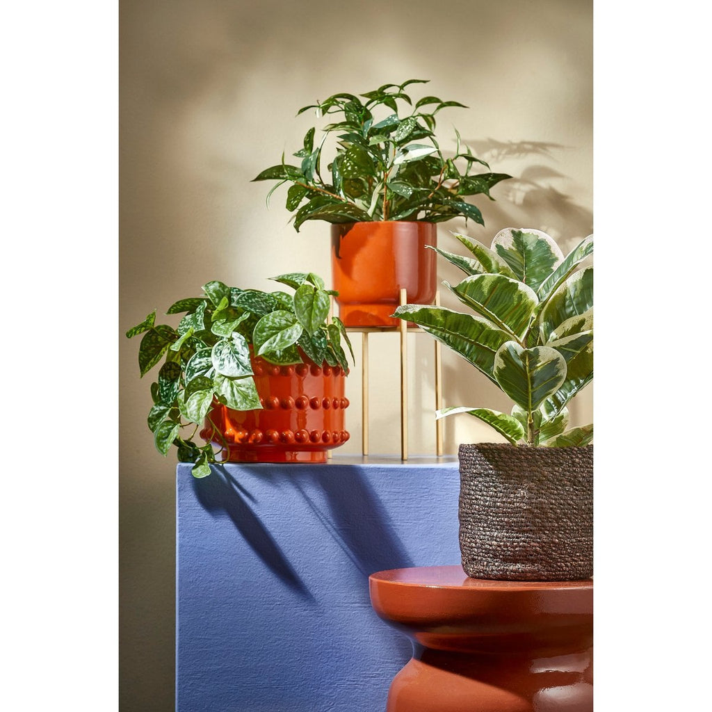 Kunst hangplant Scindapsus Groen