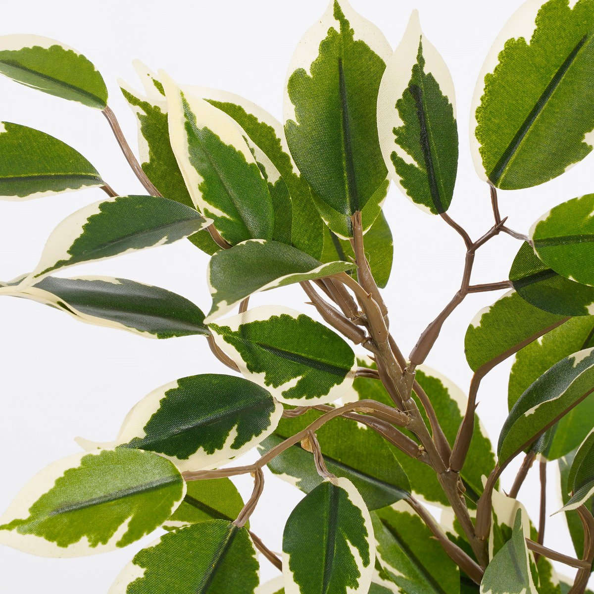 Kunstplant Ficus natasja Groen
