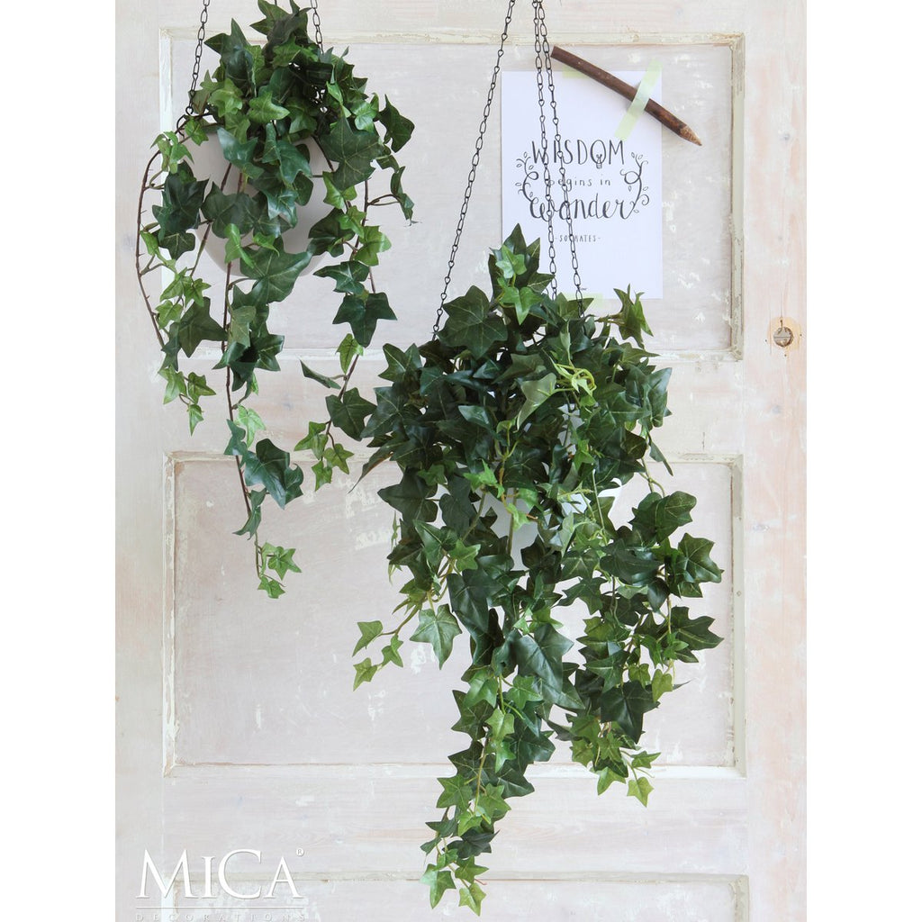 Kunst hangplant Ivy Groen