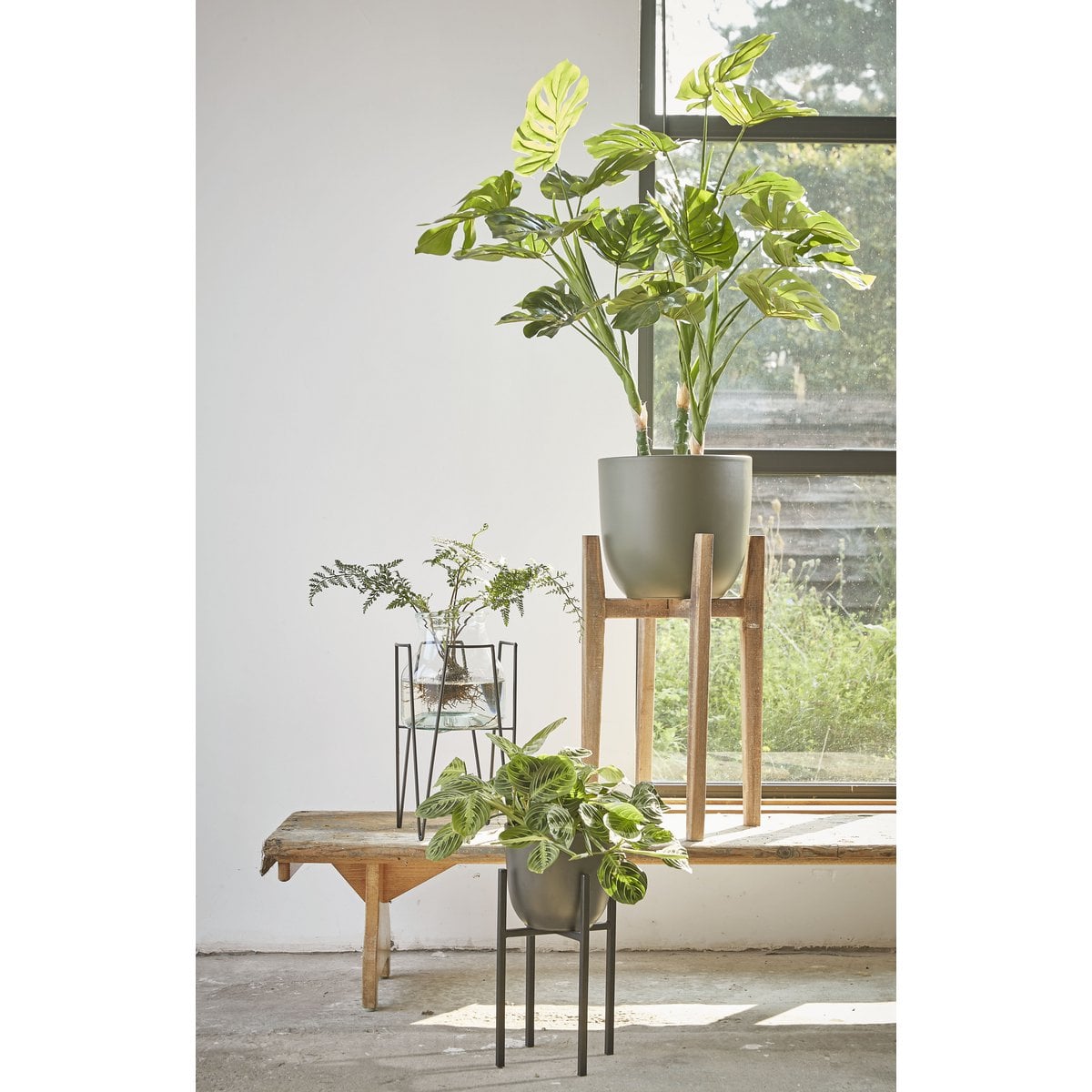 Plantenstandaard Ascot Zwart