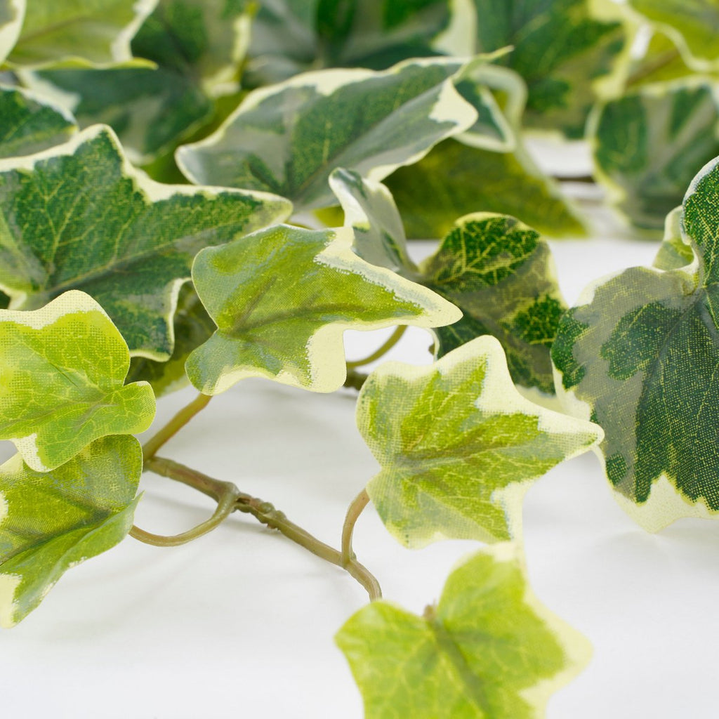 Kunst hangplant Ivy Groen