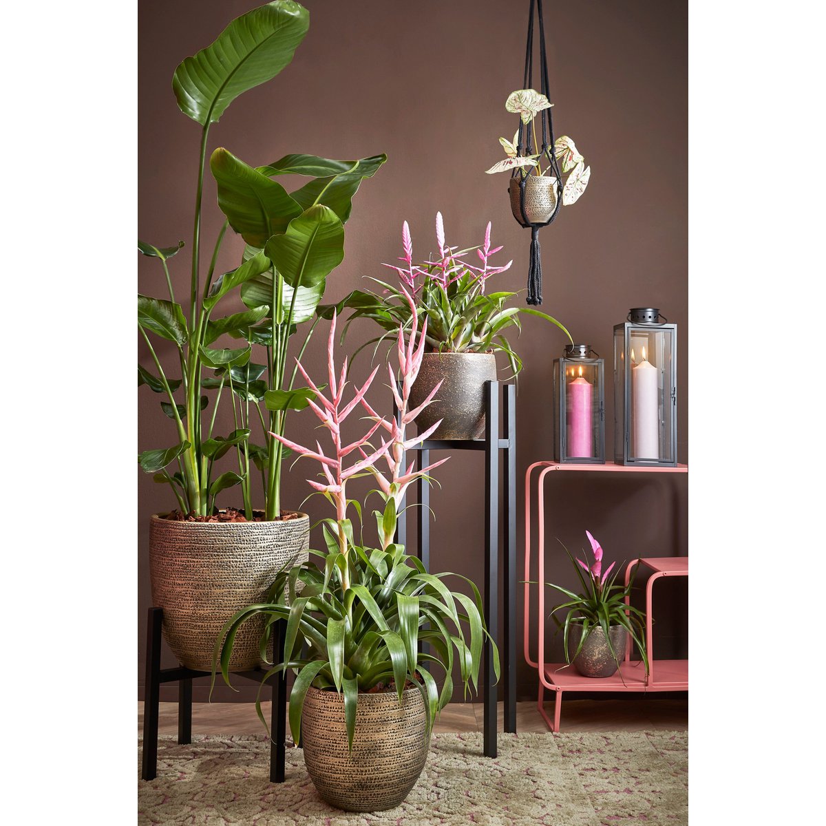 Plantenstandaard Ascot Zwart